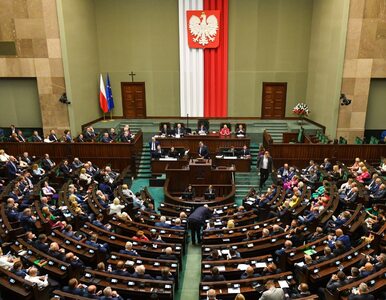 Miniatura: Członkostwo Ukrainy w NATO. Sejm przyjął...
