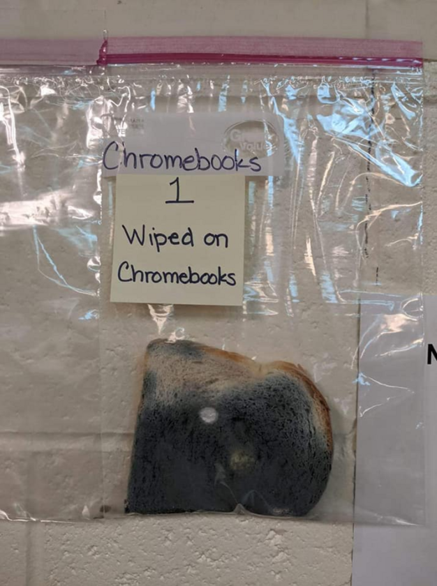 Pleśń na chlebie wytartym o chromebook 