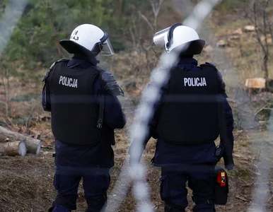 Miniatura: Granica polsko-białoruska. Policja...