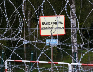 Miniatura: Tajemnicze „obiekty” w polskiej...