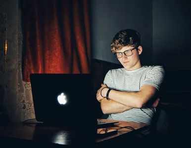 Miniatura: Zbadano wpływ internetu na polskich...