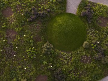 Naturalistyczny ogród Pieta Oudolfa na Vitra Campus w Weil am Rhein – przykład harmonii między dzikością a precyzyjnym projektowaniem 