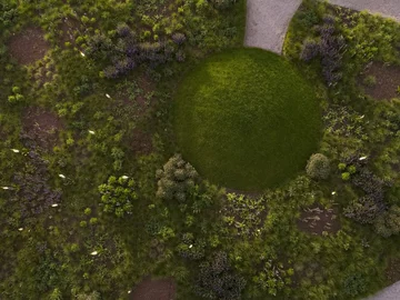 Naturalistyczny ogród Pieta Oudolfa na Vitra Campus w Weil am Rhein – przykład harmonii między dzikością a precyzyjnym projektowaniem 