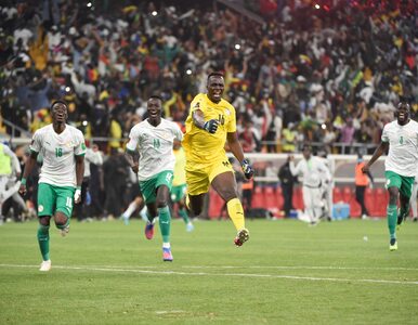 Miniatura: Reprezentacja Senegalu w piłce nożnej