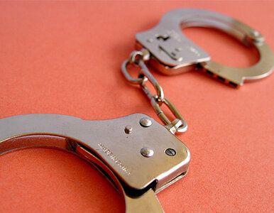 Miniatura: Dzieła sztuki skradzione w Zimbabwe...