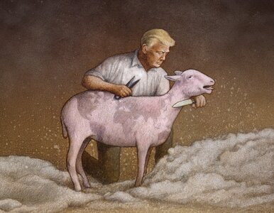 Miniatura: O co chodzi w wojnie celnej, walka...