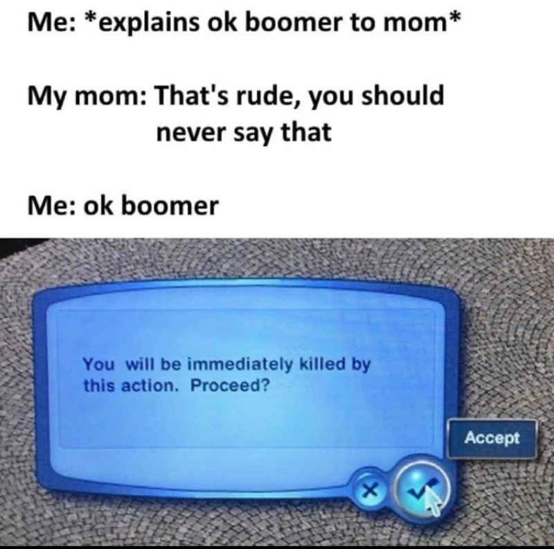 Mem do hasła „OK boomer” 