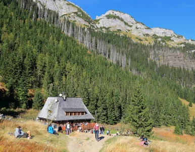 Miniatura: Nowa atrakcja w Tatrach jeszcze przed...
