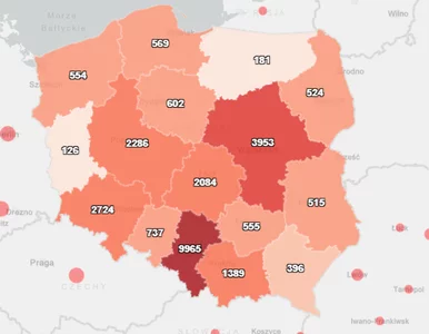 Miniatura: Tak rozprzestrzenia się koronawirus w...