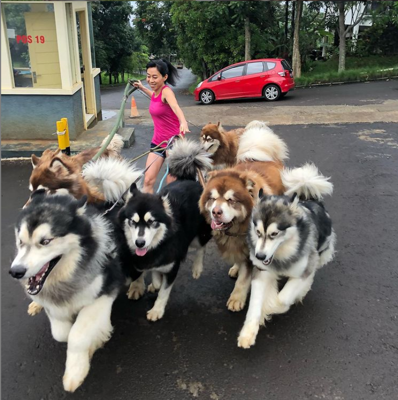 Właścicielka ze swoimi psami 
