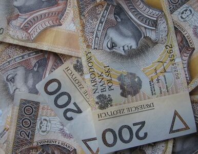 Miniatura: Sektor bankowy zarobił 15,7 miliarda złotych