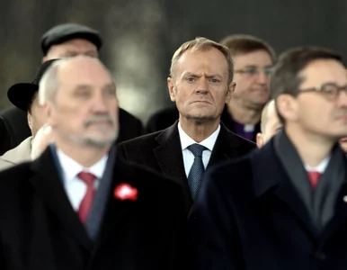 Miniatura: Tusk, opozycja i Kaczyński