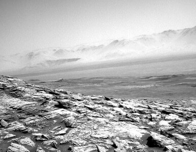 Curiosity „zauważył” coś na Marsie. Po tym zdjęciu NASA zleciła...