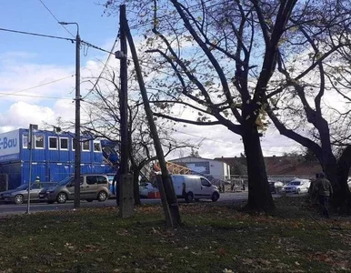 Miniatura: W Wieliczce przewrócił się dźwig. Są ranni...