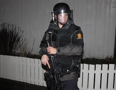 Miniatura: Duńska policja nauczy się... kraść