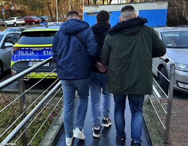 Miniatura: Zatrzymano podejrzanego o śmiertelne...
