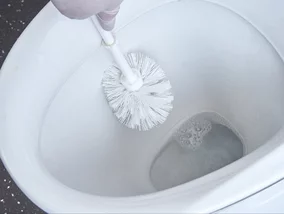 Miniatura: Wsyp 10 łyżek do muszli WC. Kamień i żółte...