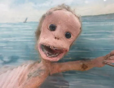 Miniatura: Syrena, wypchany kot czy włosy Rzymianki....