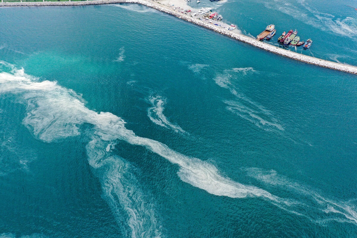 Śluz pokrywający Morze Marmara przy tureckim wybrzeżu 