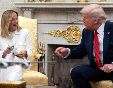 Miniatura: Premier Włoch spotkała się Trumpem....