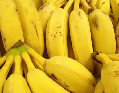 Miniatura: Sposób na świeże banany? Wyciąg z......