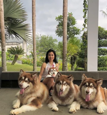 Właścicielka ze swoimi psami 