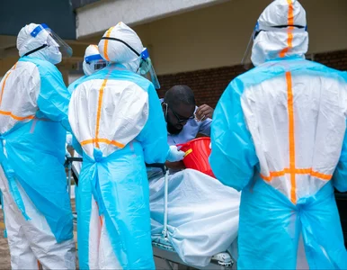 Miniatura: Już ponad 1,5 tys. ofiar wirusa Ebola. W...