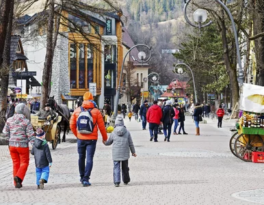 Miniatura: Polacy ruszyli na krajowe city breaki....