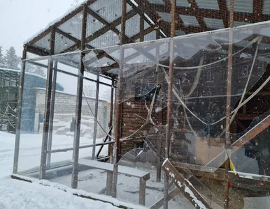 Miniatura: Ekopark w Charkowie znów ostrzelany....