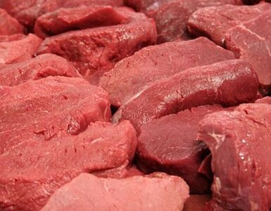 Miniatura: Mięso niewiadomego pochodzenia w ubojni w...