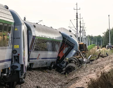 Miniatura: Pociągi mogą zwolnić do 20 km/h. Protest...