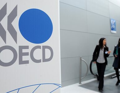Miniatura: OECD: Światowa gospodarka zwalnia