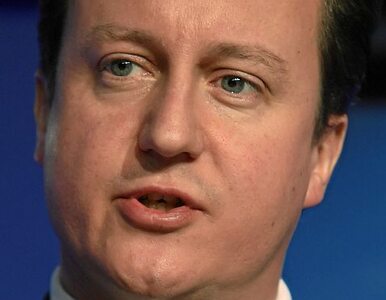 Miniatura: Cameron: "nie" dla podatku od transakcji...