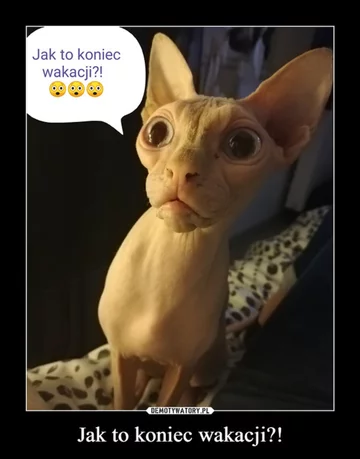 Zbliża się koniec wakacji. Internauci tworzą memy 