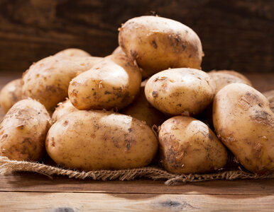 Miniatura: Ziemniaki – tanie, zdrowe... i wcale nie...