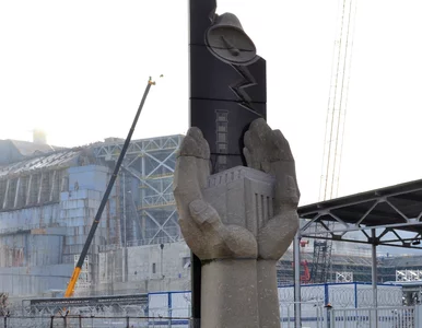 Miniatura: Skażenie promieniotwórcze na terenie...