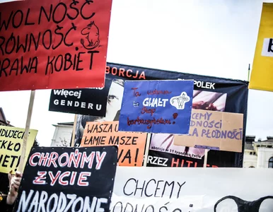 Miniatura: Dlaczego zwolenniczki prawicy częściej...