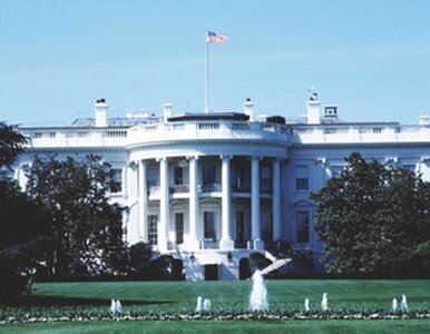 Miniatura: Obama ma 11 pkt proc. przewagi nad McCainem