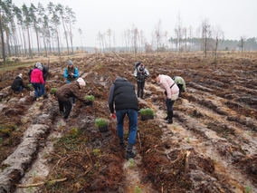 PZU rusza ku neutralności klimatycznej