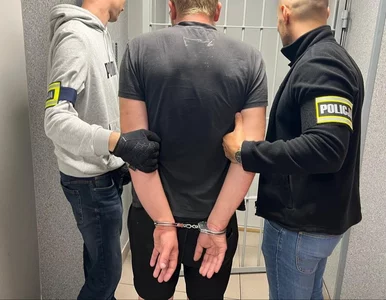 Miniatura: Potrącił na pasach matkę z dzieckiem i...