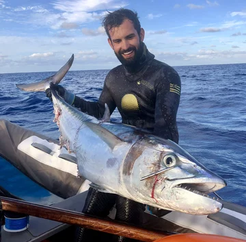 Tuńczyk Błękitnopłetwy 