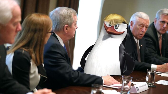 Miniatura: Pingwin zamiast Trumpa. Najlepsze...