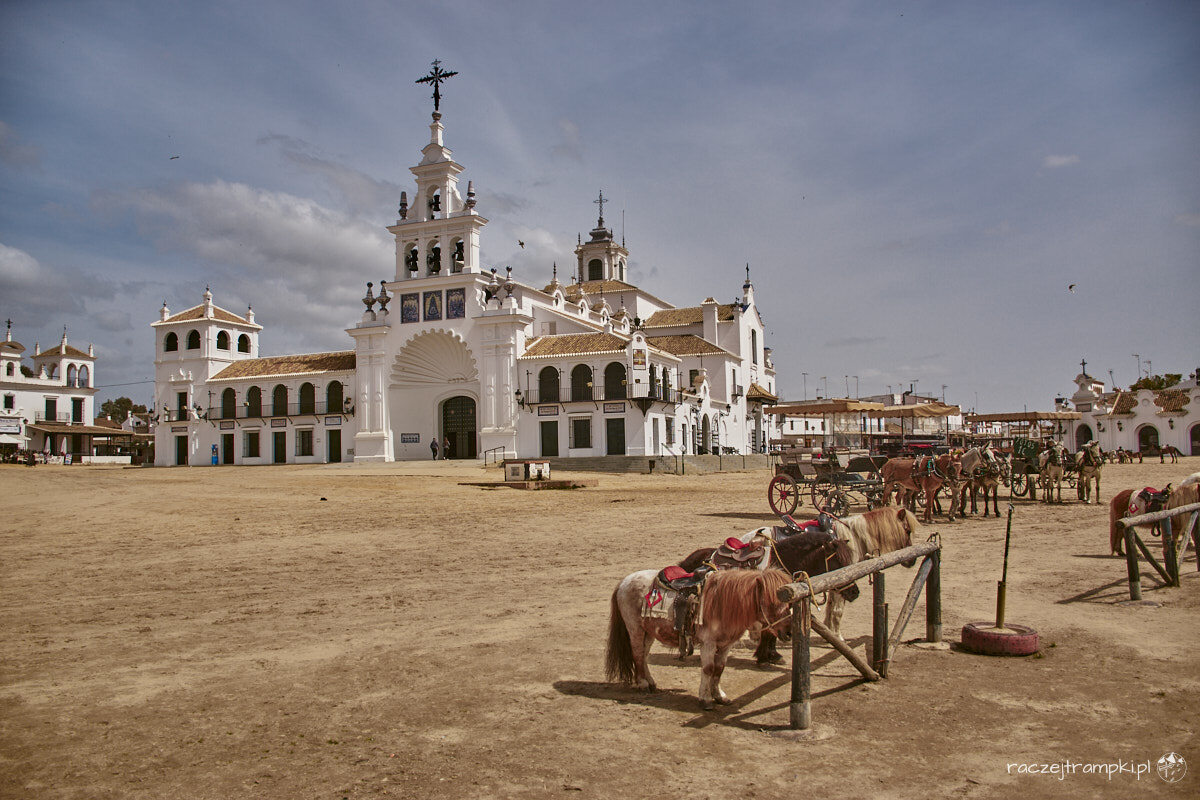 El Rocio 