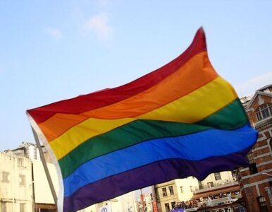Miniatura: Działacze LGBT: Europride to...