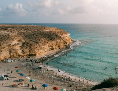 Miniatura: Gorąca nowość na rok 2026. Polacy polecą...