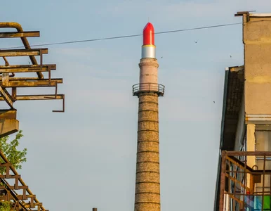 Miniatura: Sztuka uciekła przed wojną. W donieckim...