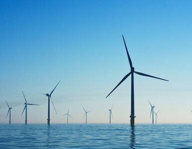 Miniatura: Morska farma wiatrowa Baltic Power pobudza...