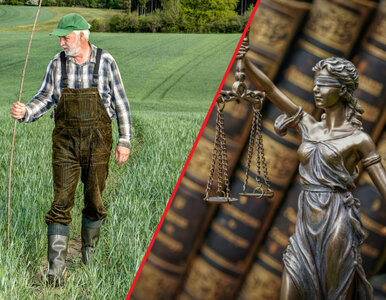 Miniatura: Zadłużony rolnik nie musi już bać się...