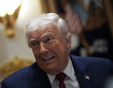 Miniatura: Trump zaatakował dziennikarkę. „Jesteś...