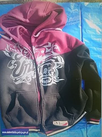 Fot. KMP Jelenia Góra